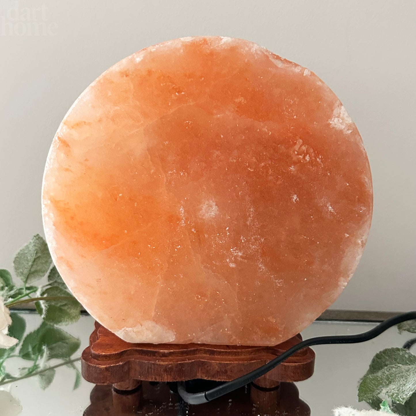 Safari-Tier-Himalaya-Salzlampe