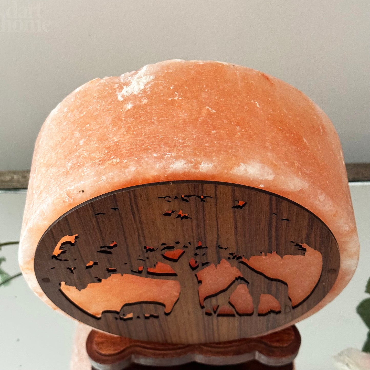 Safari-Tier-Himalaya-Salzlampe