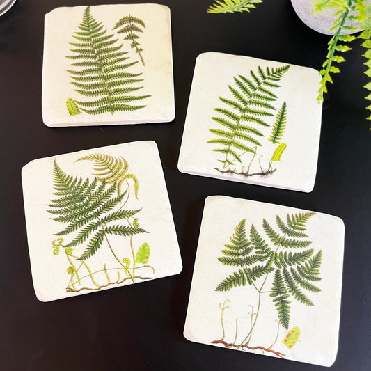 Set Of 4 Ceramic Fern Coasters