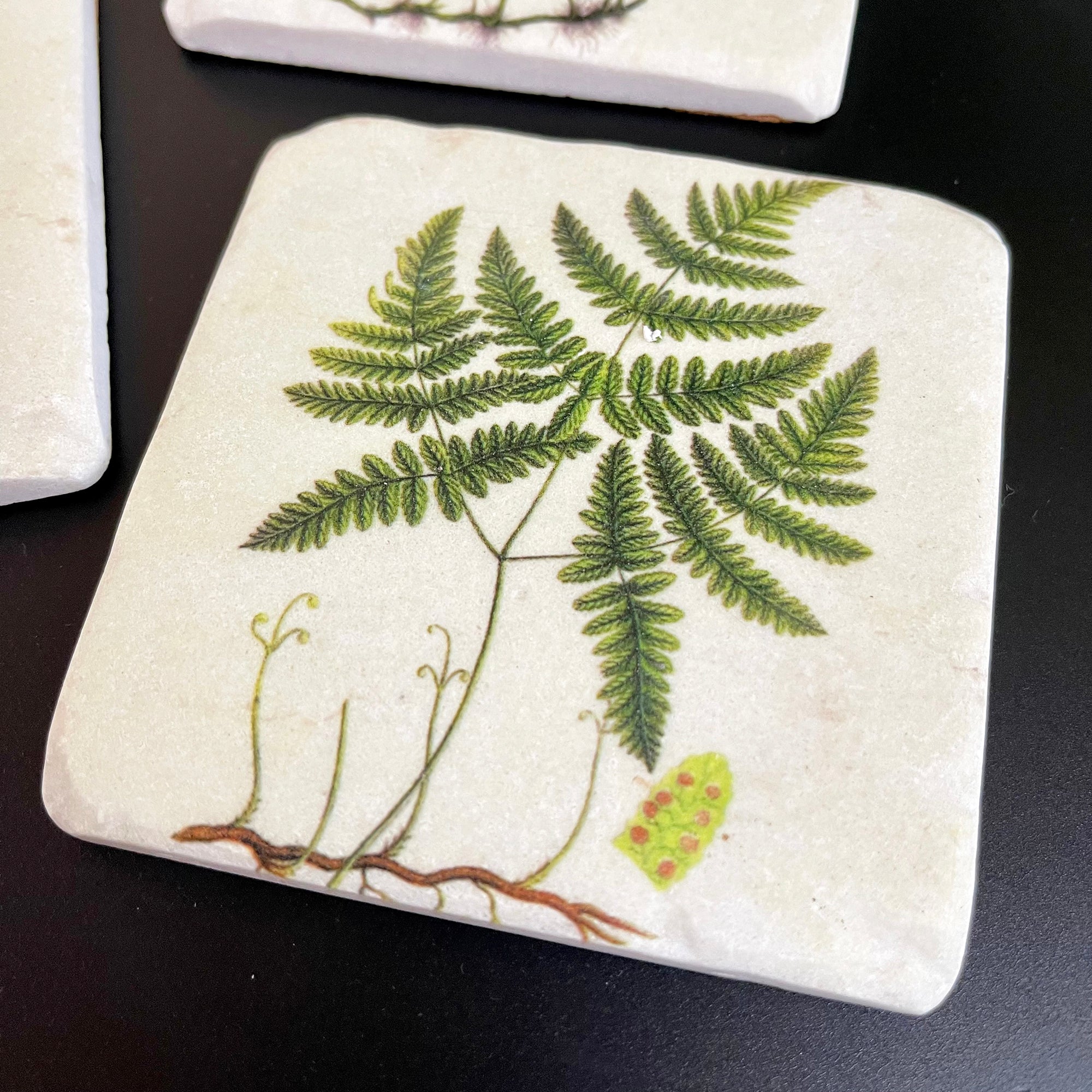 Set Of 4 Ceramic Fern Coasters