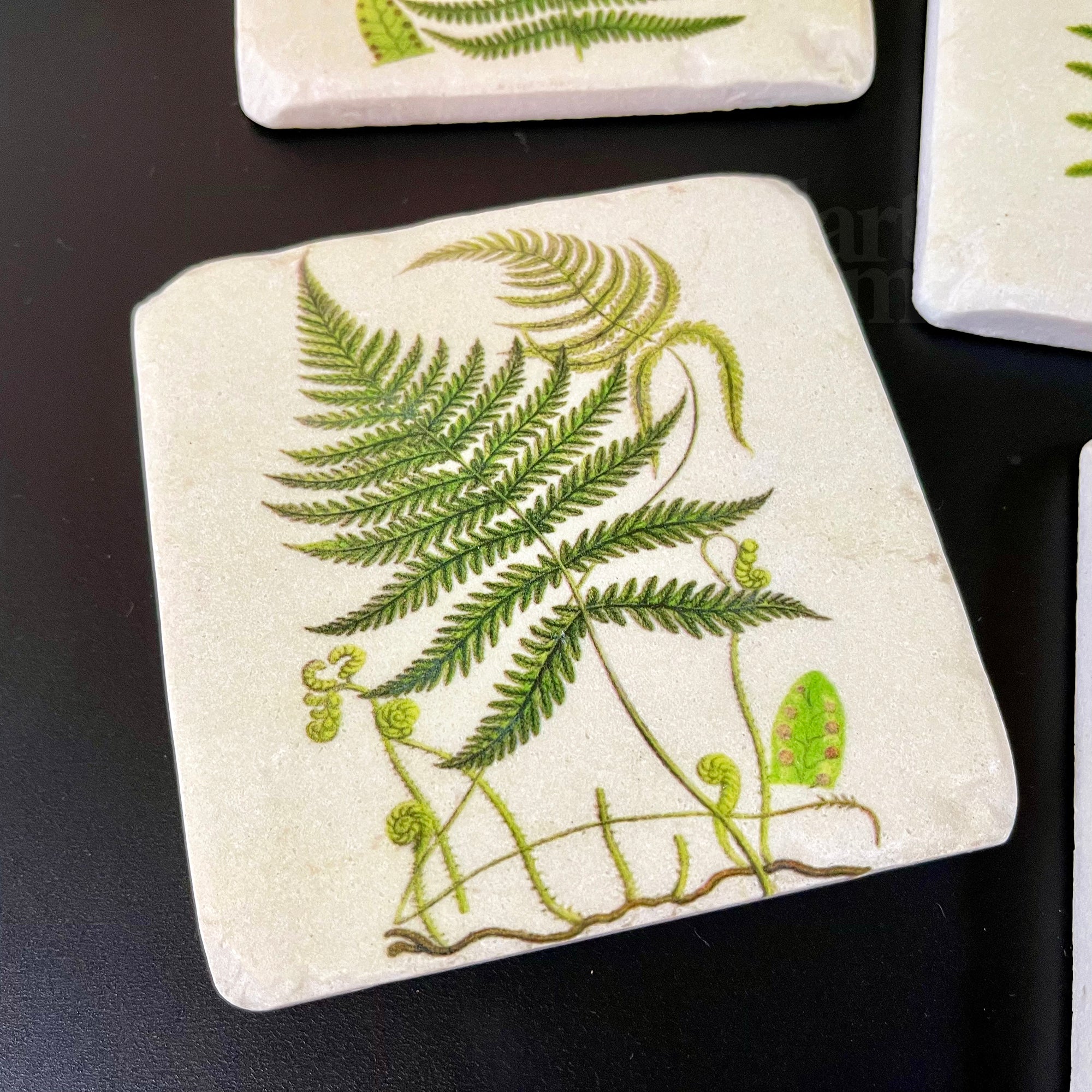 Set Of 4 Ceramic Fern Coasters