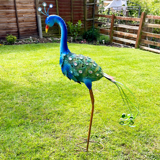 Garden Peacock Ornament Large