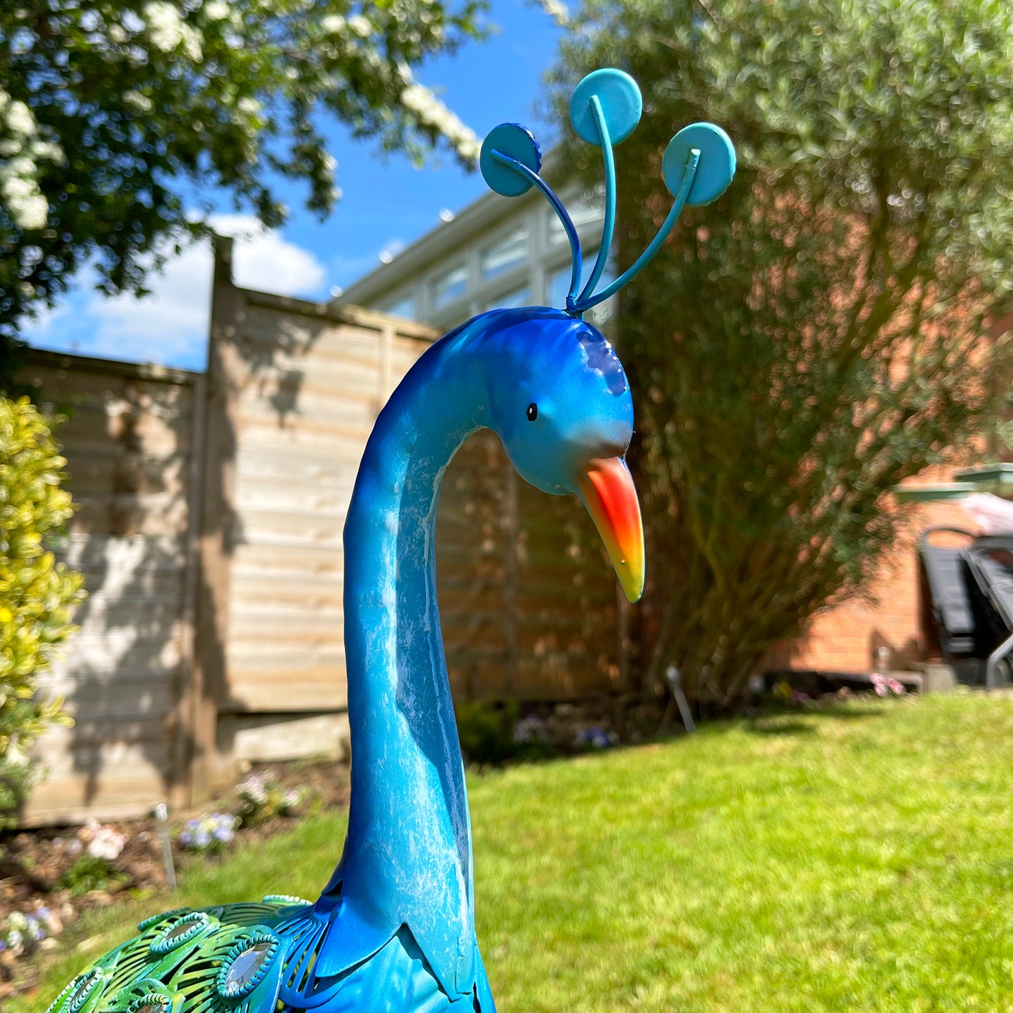 Garden Peacock Ornament Large