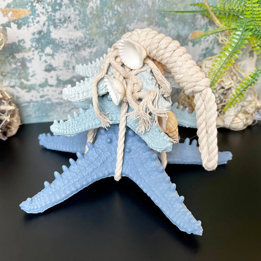 Blue & White Starfish In Rope Ornament