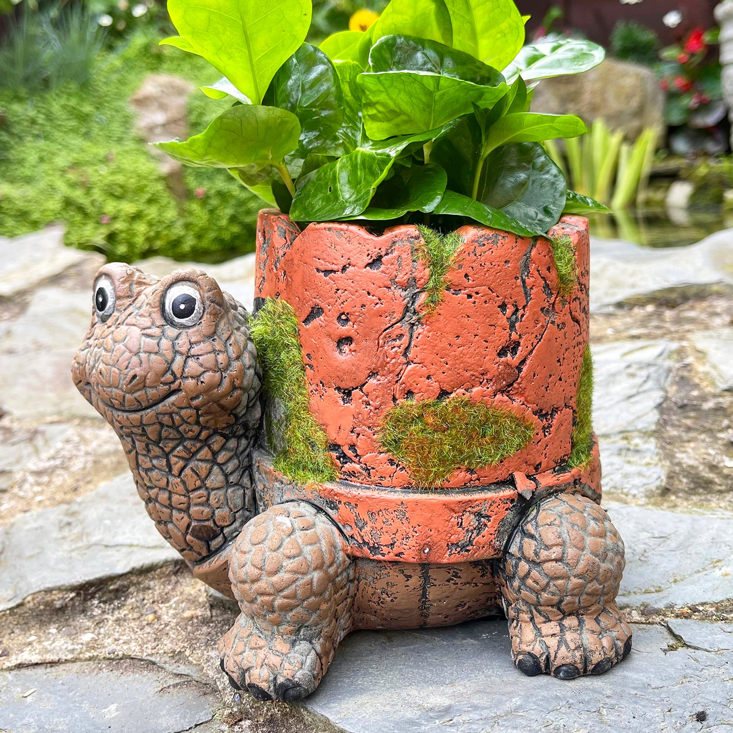 Schildkröten-Übertopf aus Zement mit Tonpfeifentopf