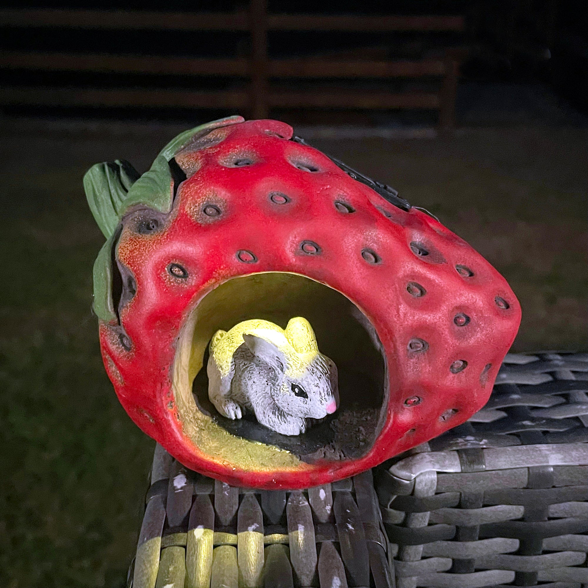 Strawberry sales hamster house