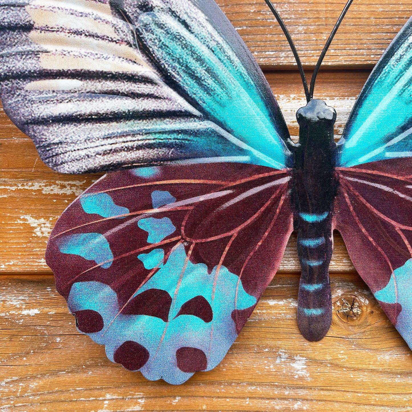 Teal Butterfly Wall Art