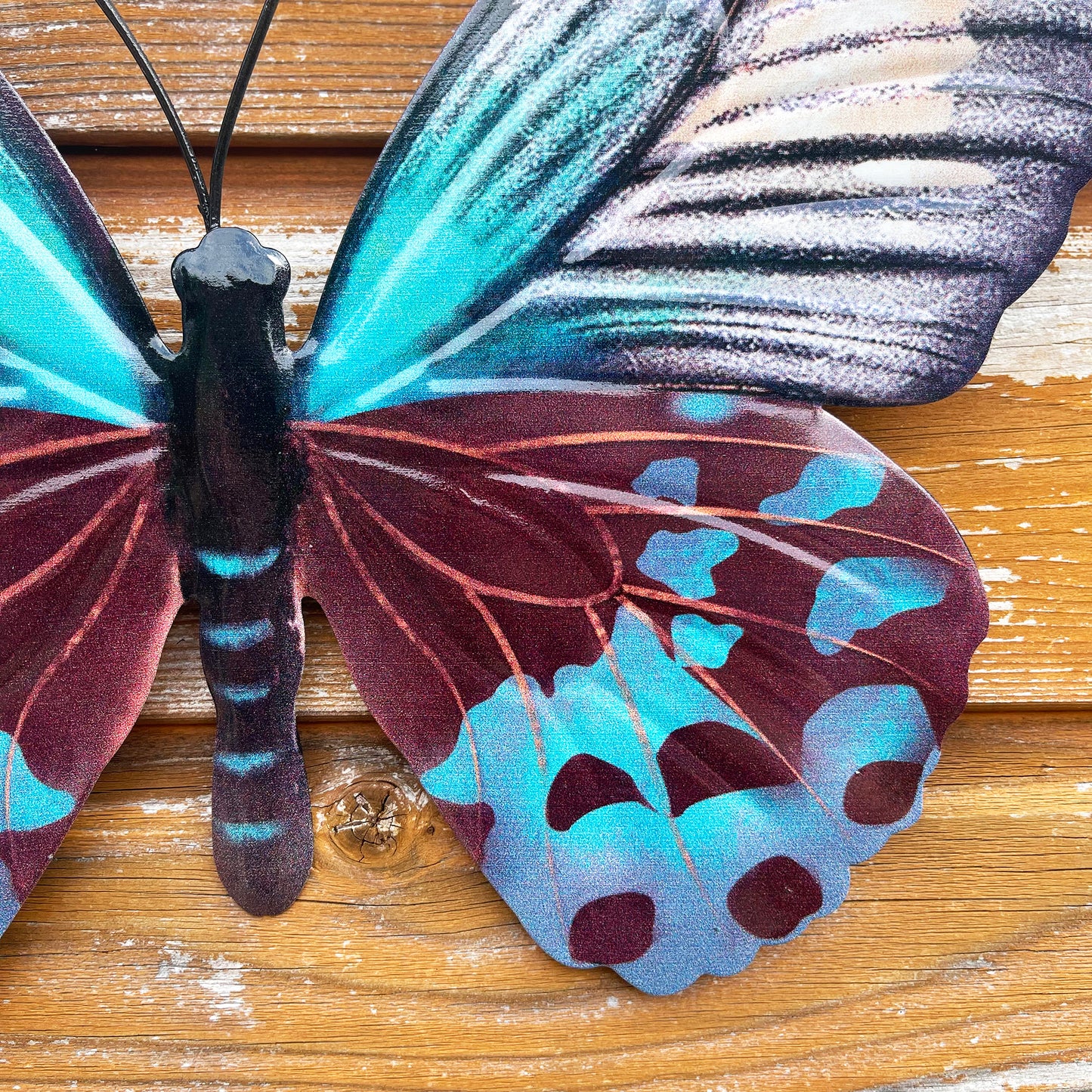 Teal Butterfly Wall Art