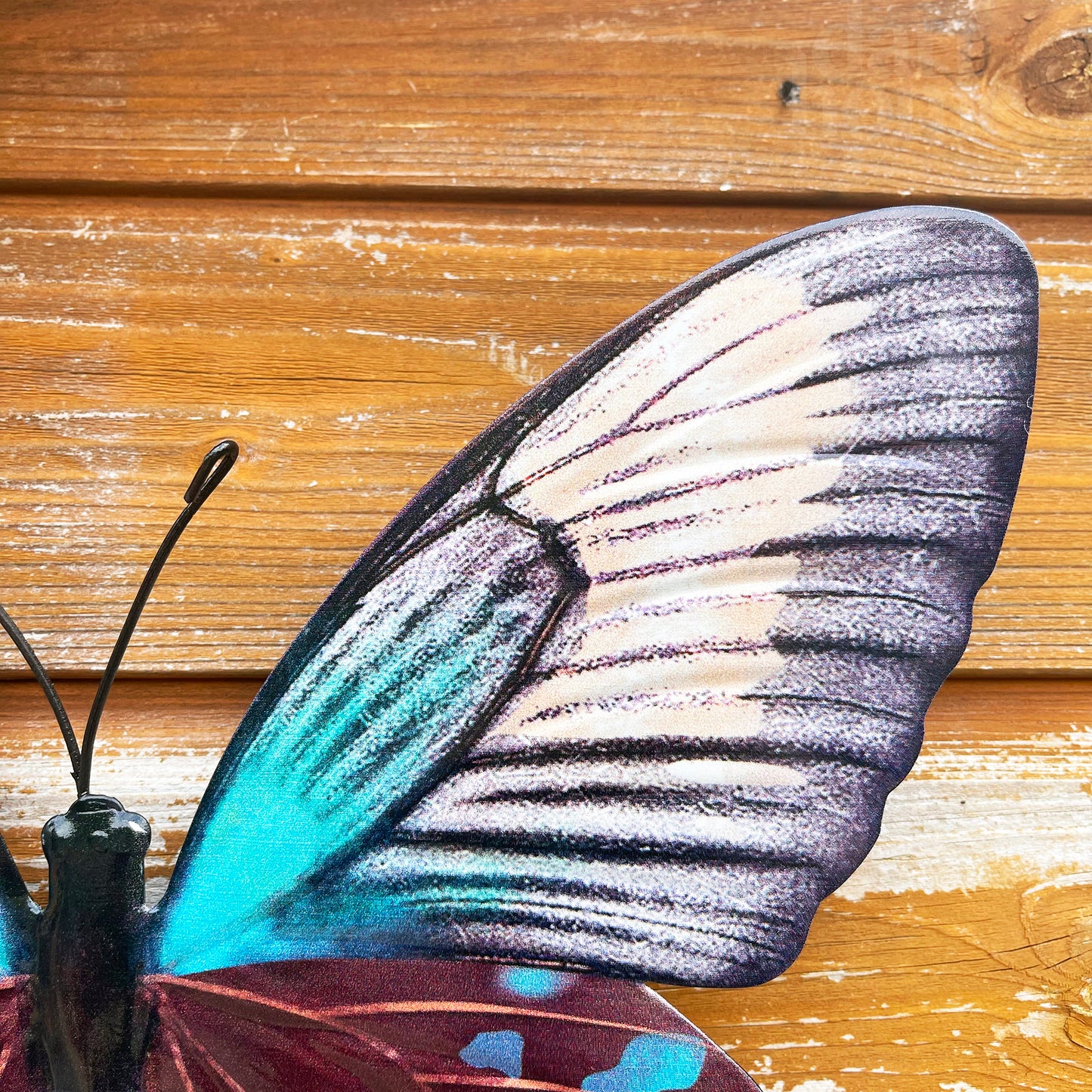 Teal Butterfly Wall Art