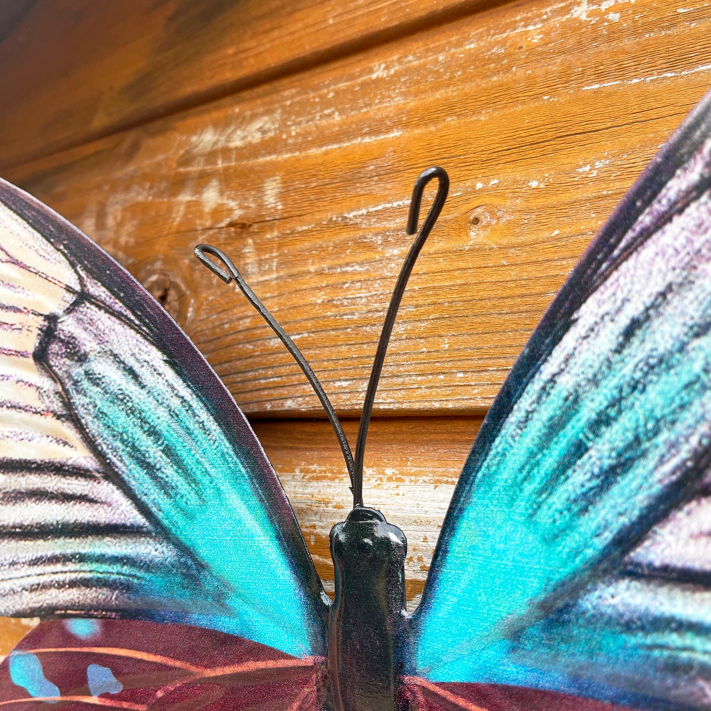 Teal Butterfly Wall Art