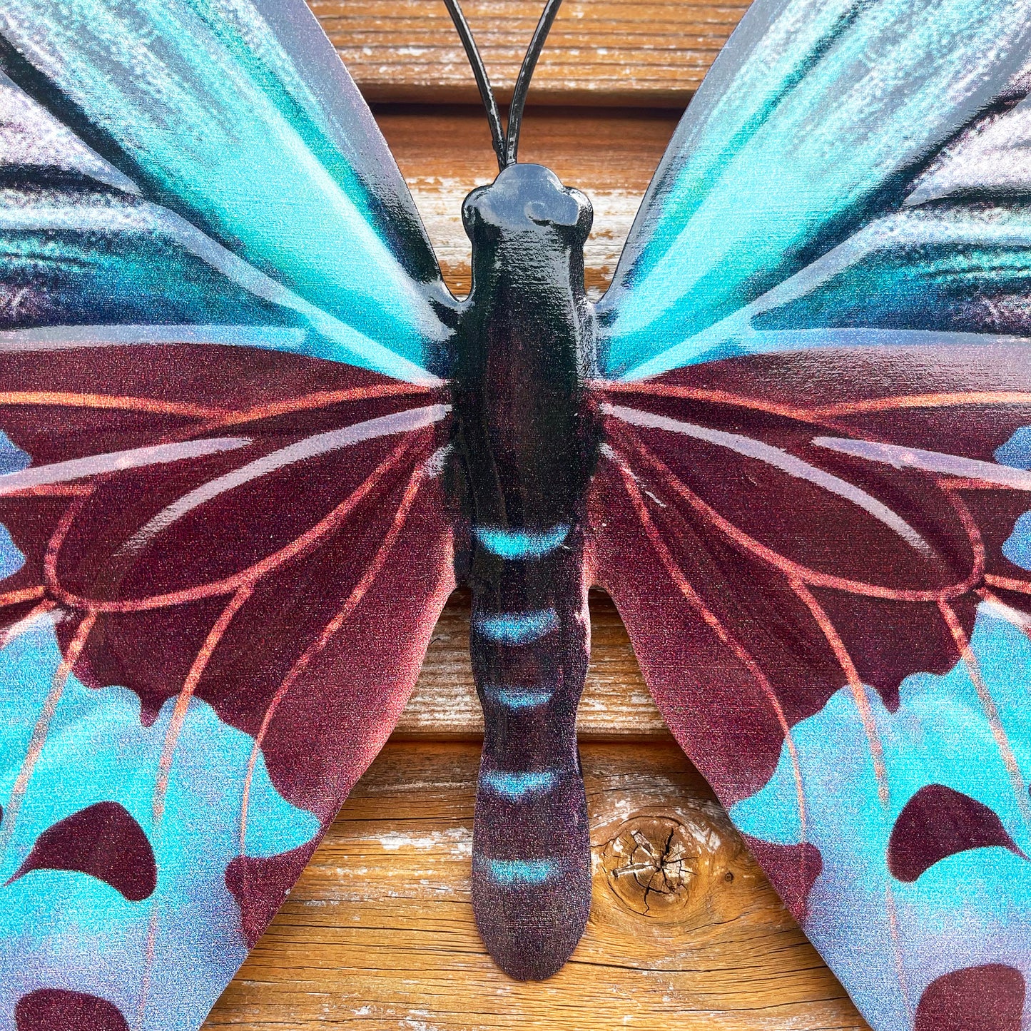 Teal Butterfly Wall Art