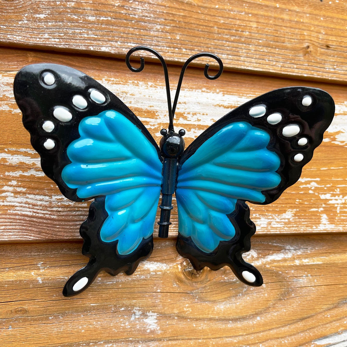 Blue Butterfly Wall Art Small