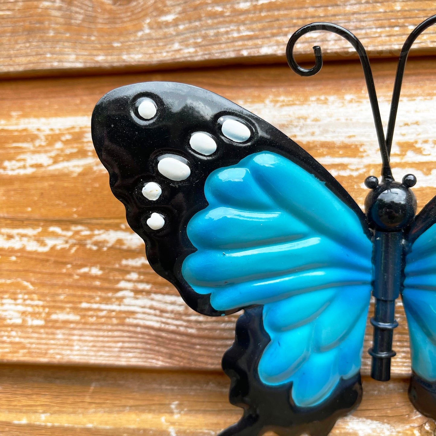 Blue Butterfly Wall Art Small