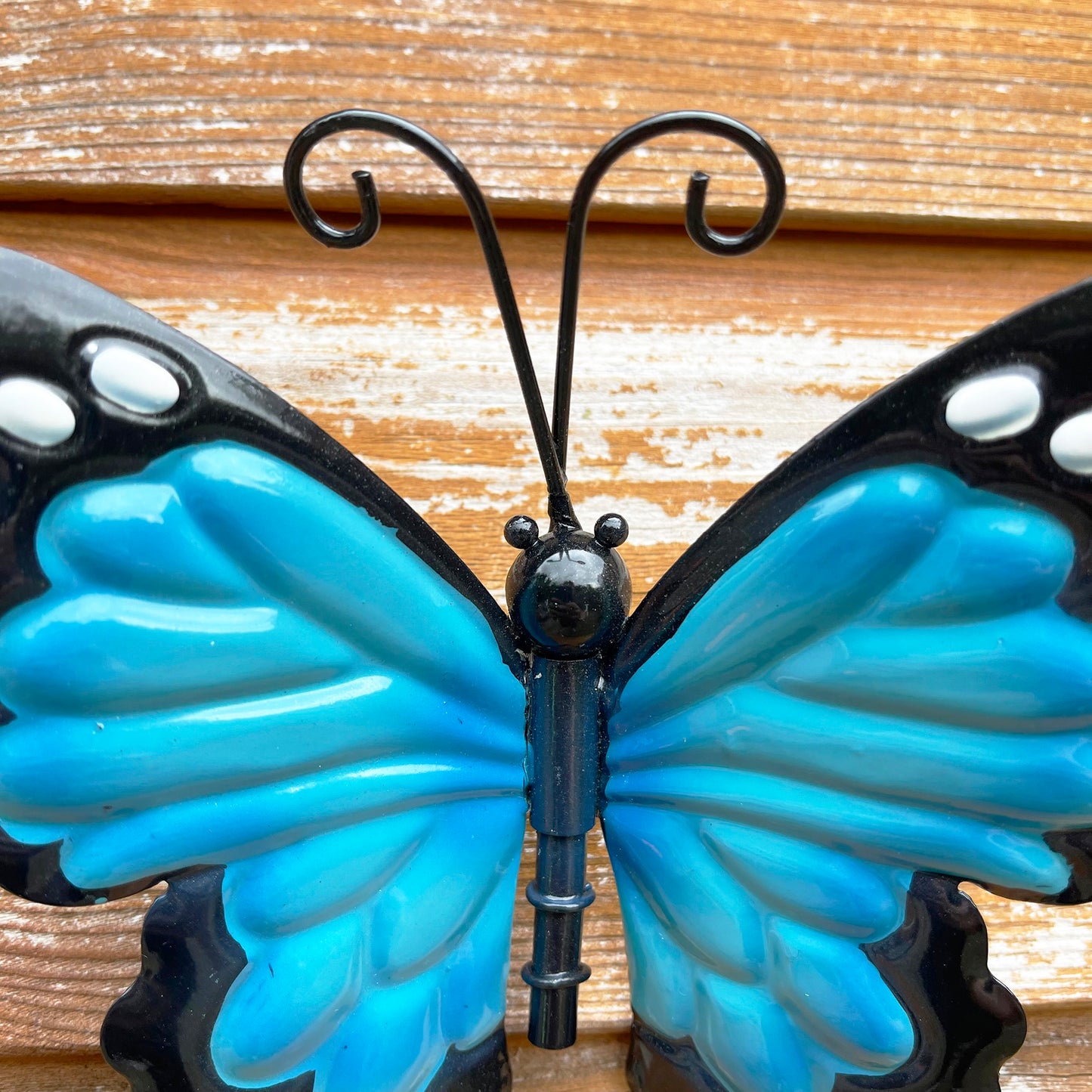 Blue Butterfly Wall Art Small