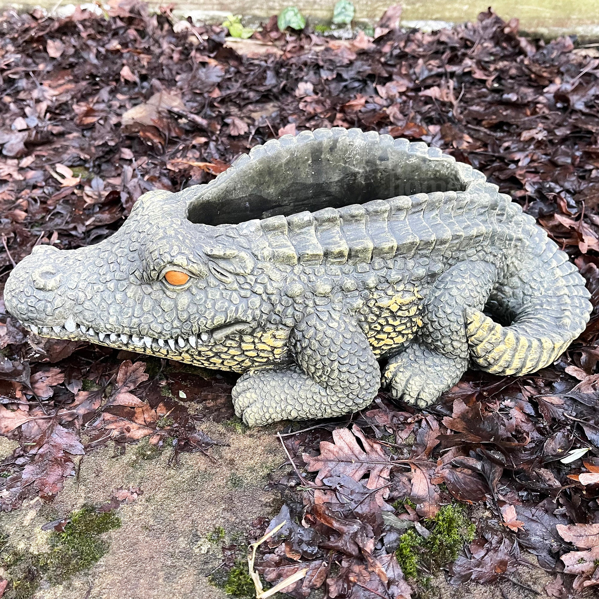 Cement Crocodile Planter