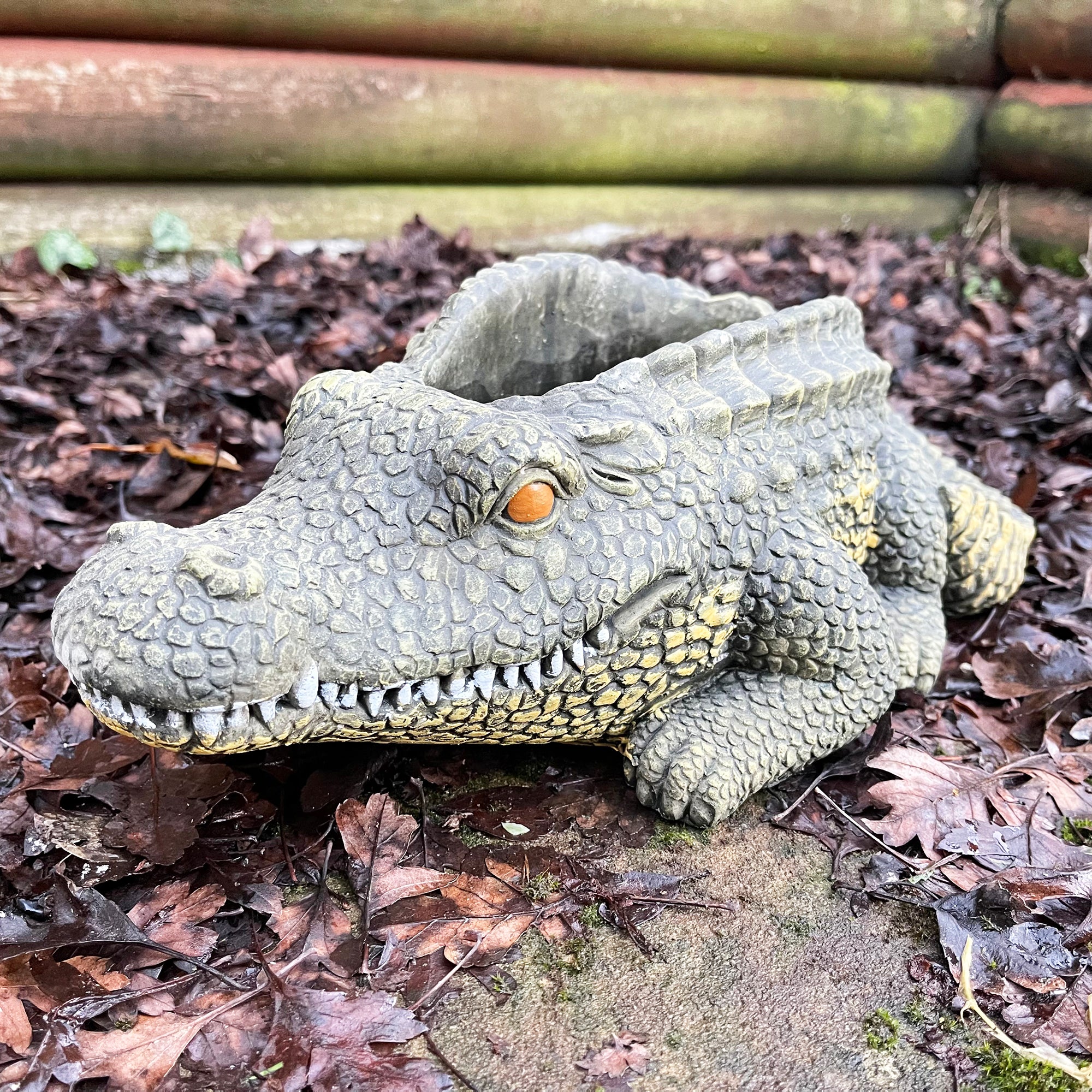 Cement Crocodile Planter