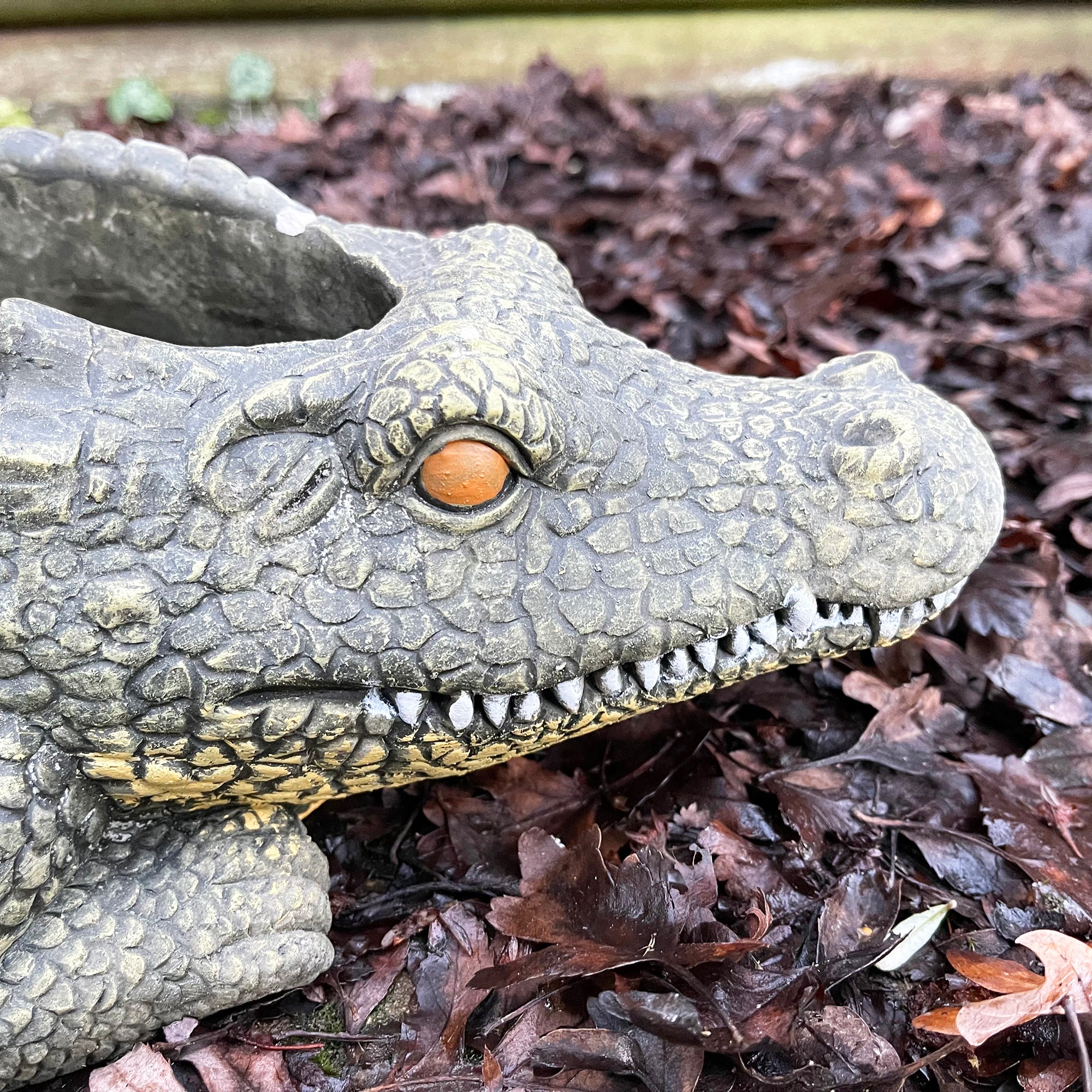 Cement Crocodile Planter