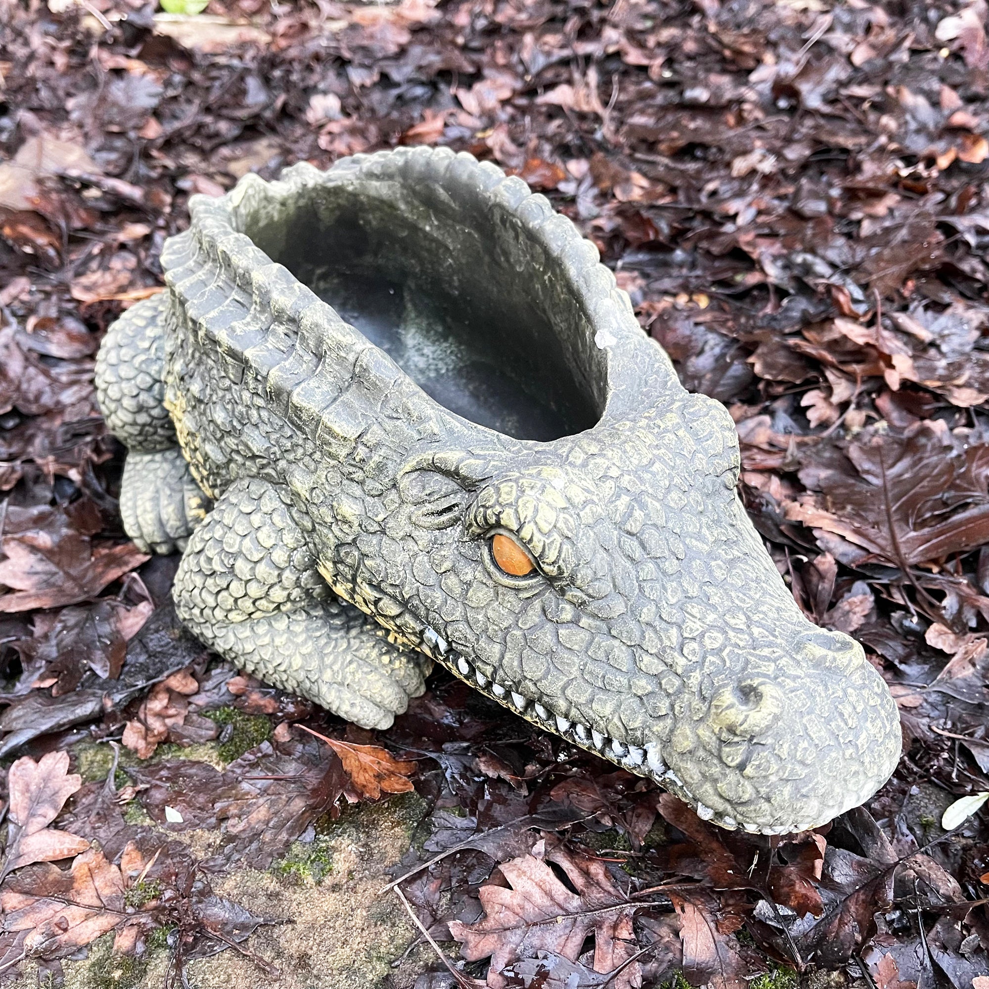 Cement Crocodile Planter