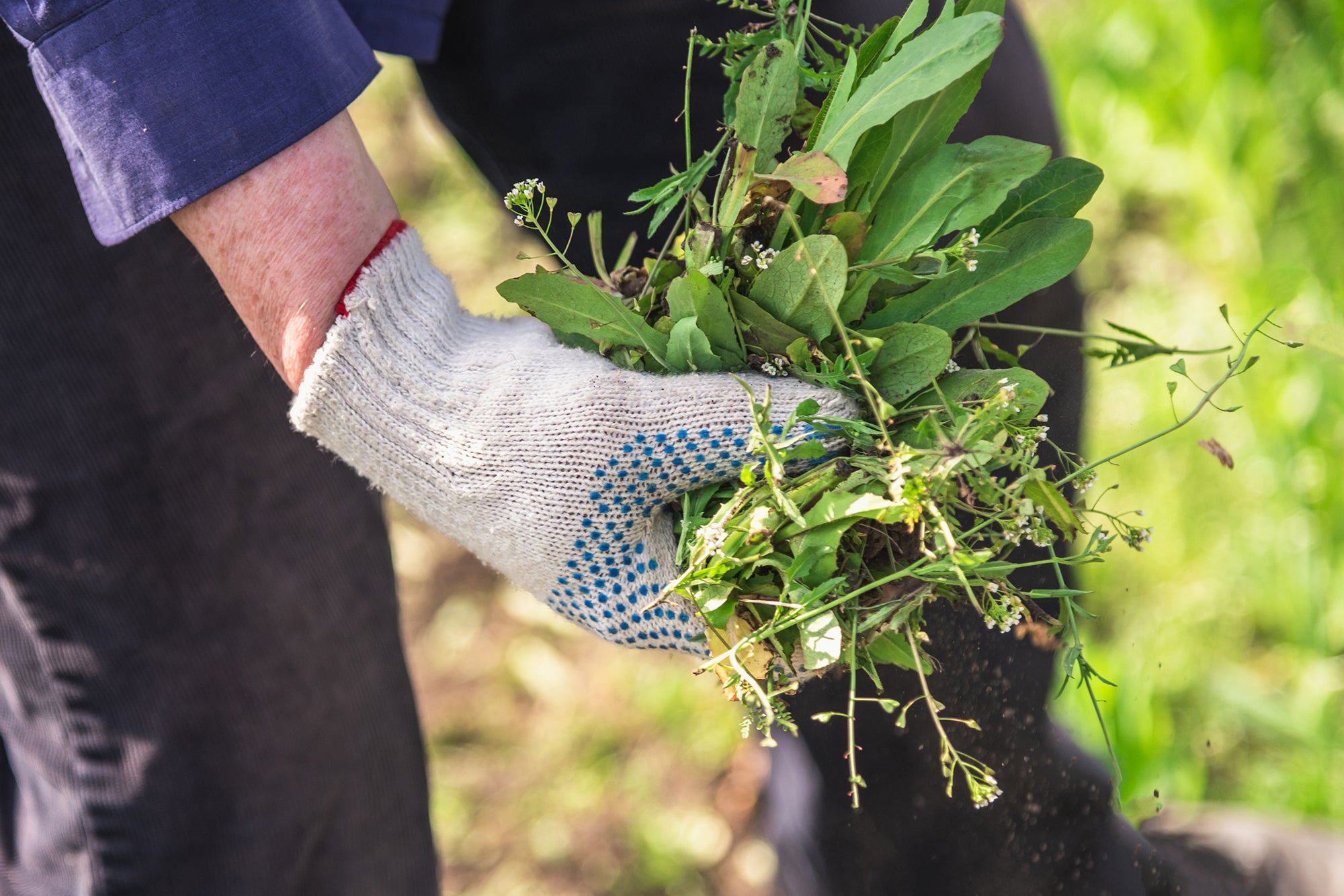 10 Essential Spring Gardening Tasks to Prepare for Summer