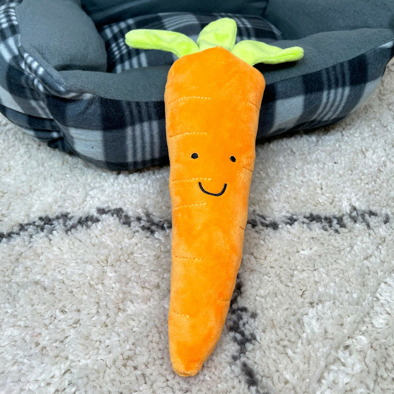 Pet Accessories
