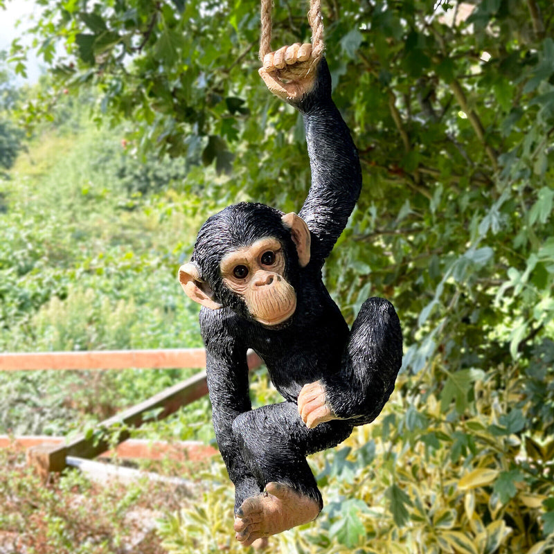 Safari & Jungle Animals