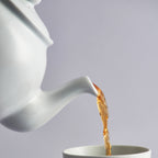White Stoneware 6 Cup Teapot