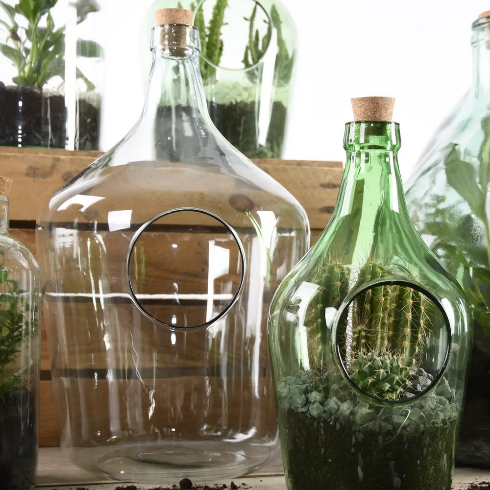 10 Litre Open Terrarium Bottle