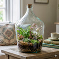 10 Litre Open Terrarium Bottle