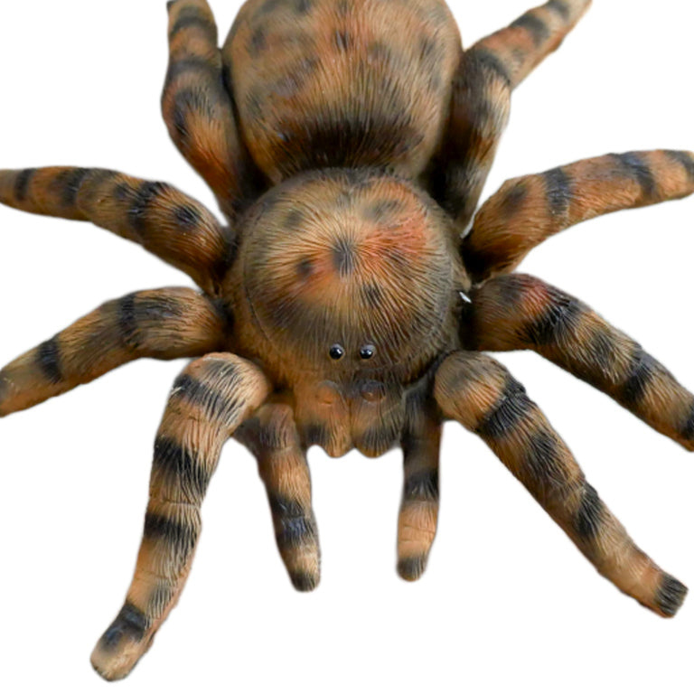 Black & Brown Spider Wall Decoration