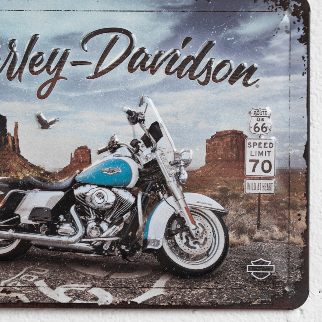 Born To Ride Harley Davidson Sign