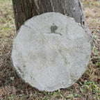 Heavy Stone Fortune Teller Plaque
