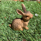 Set Of 2 Mini Daisy And Dellilah Rabbit Figurines