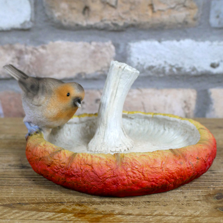 Robin on Mushroom Garden Bird Feeder