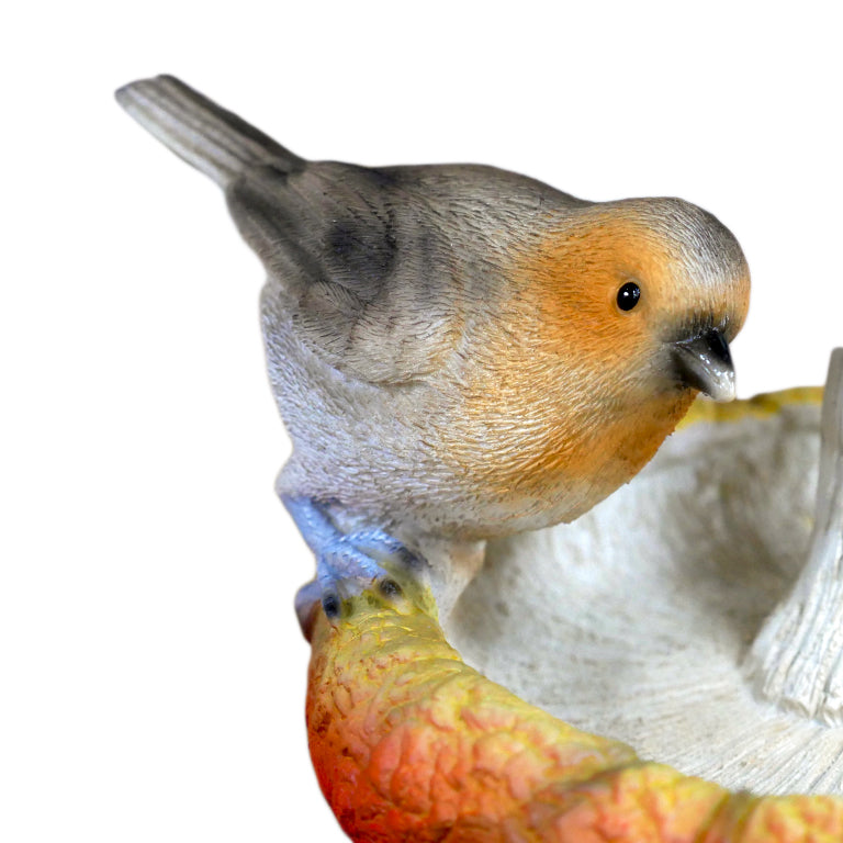 Robin on Mushroom Garden Bird Feeder