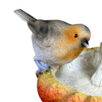 Robin on Mushroom Garden Bird Feeder