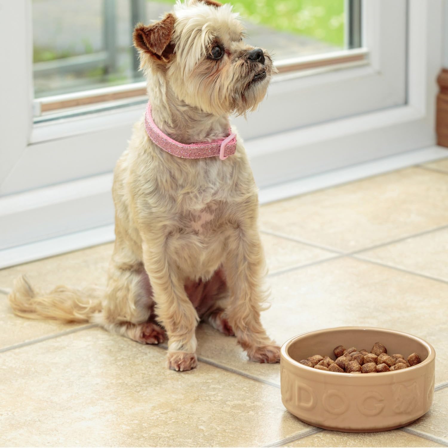 Mason Cash Cane Dog Bowl 18cm