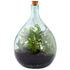 Glass Terrarium Belly Bottle Set With Tools