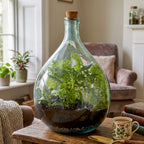 Glass Terrarium Belly Bottle Set With Tools