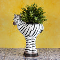 Tall Zebra Planter
