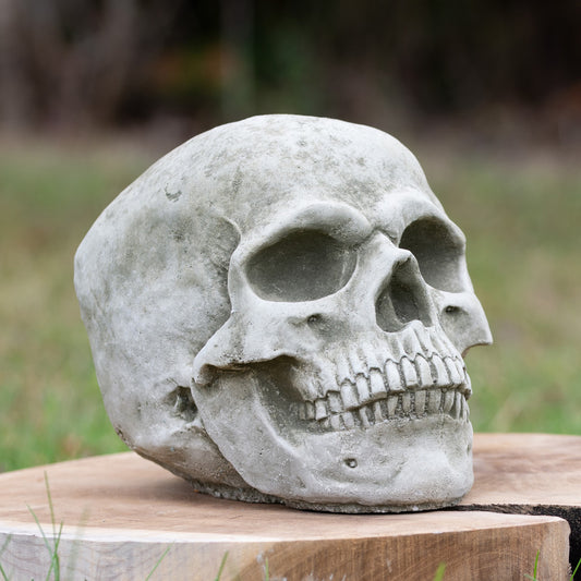 Menschliche Schädelskulptur aus Stein