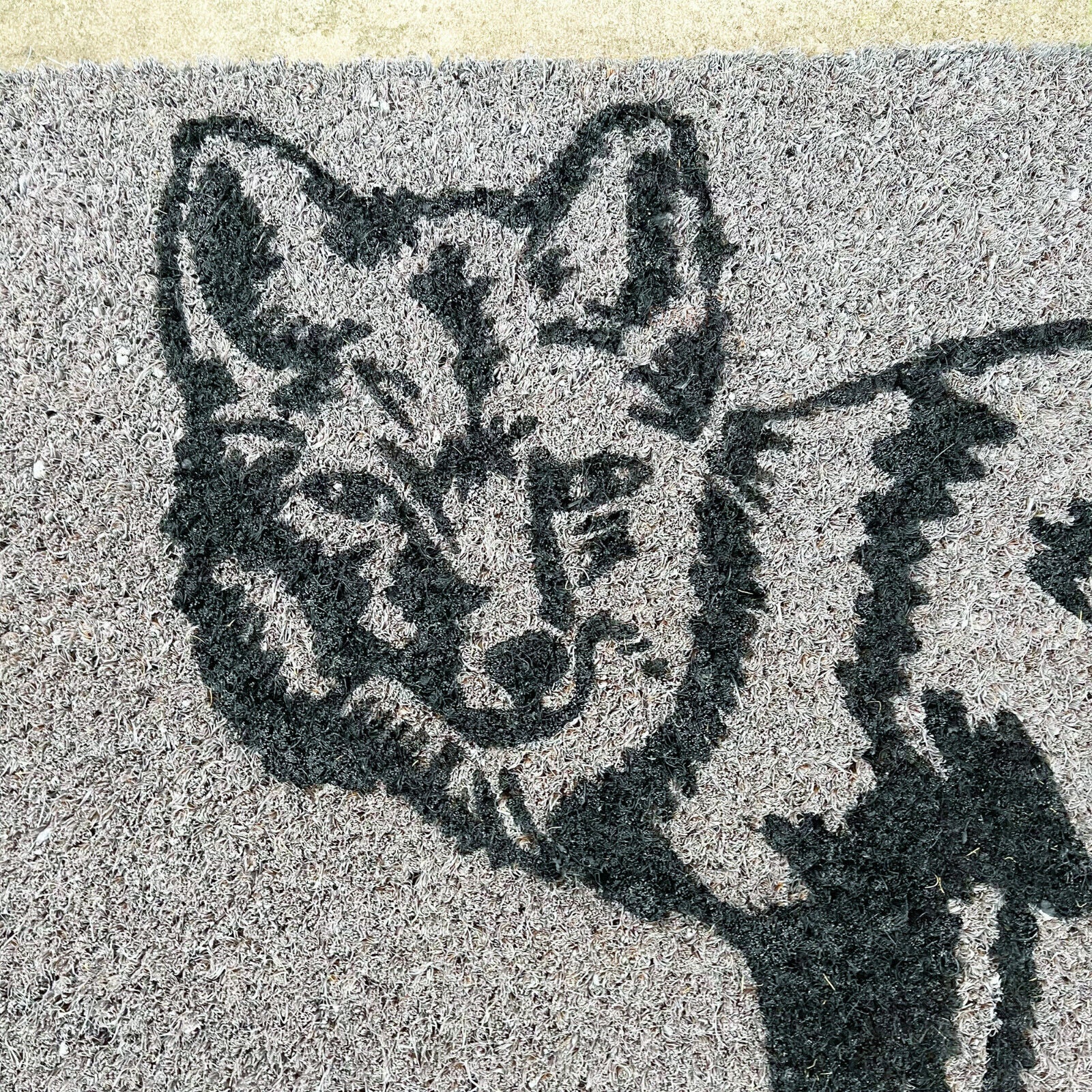 Large Grey Fox Coir Door Mat