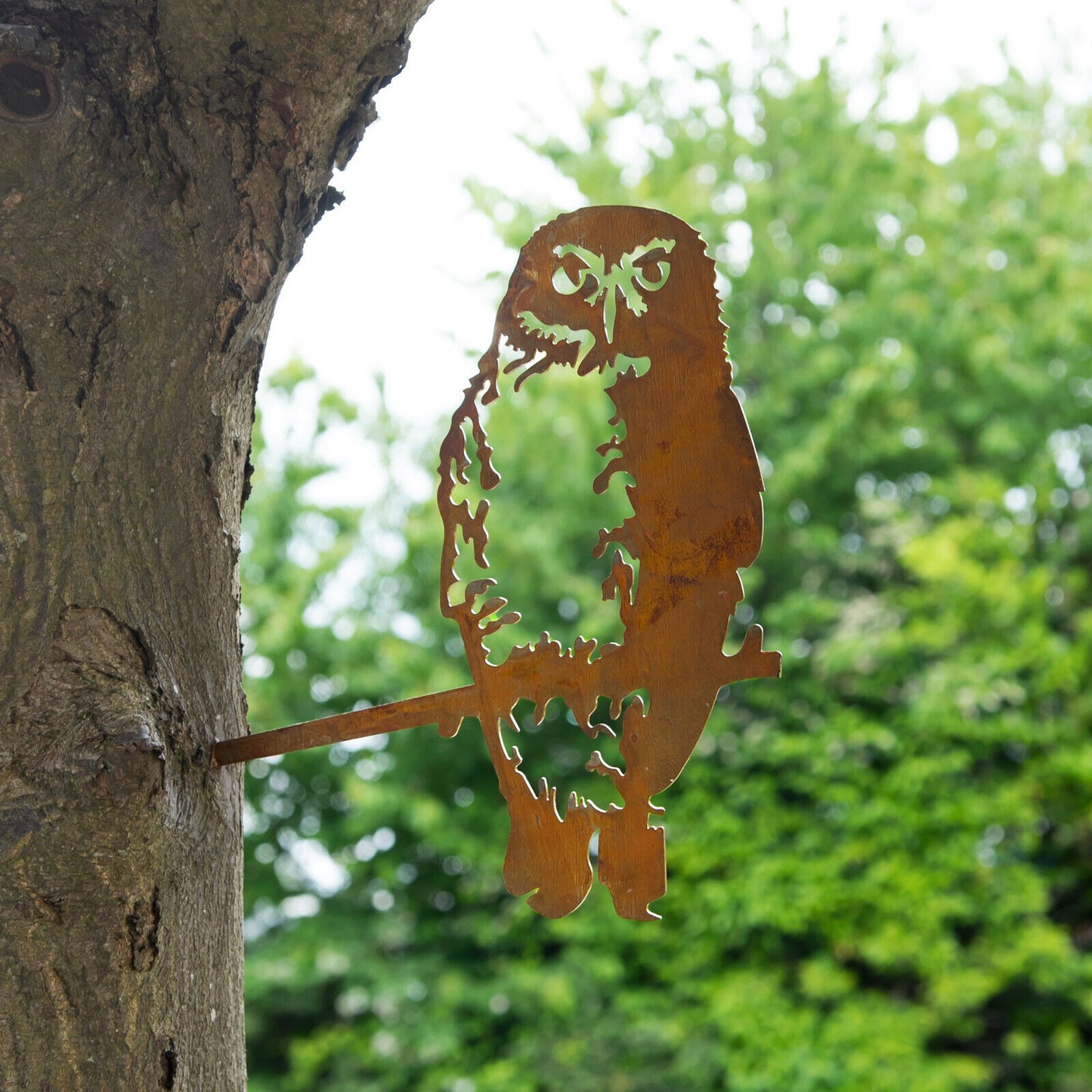 Barn Owl Tree Spike