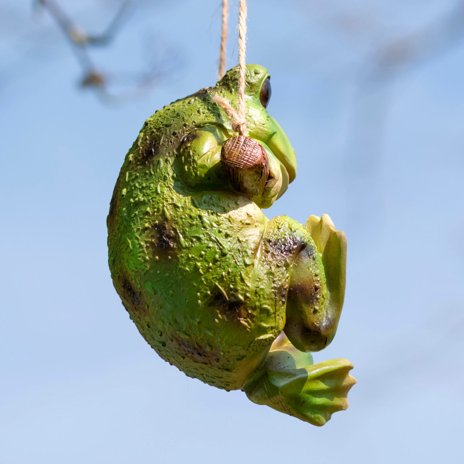 Hanging Frog Ornament