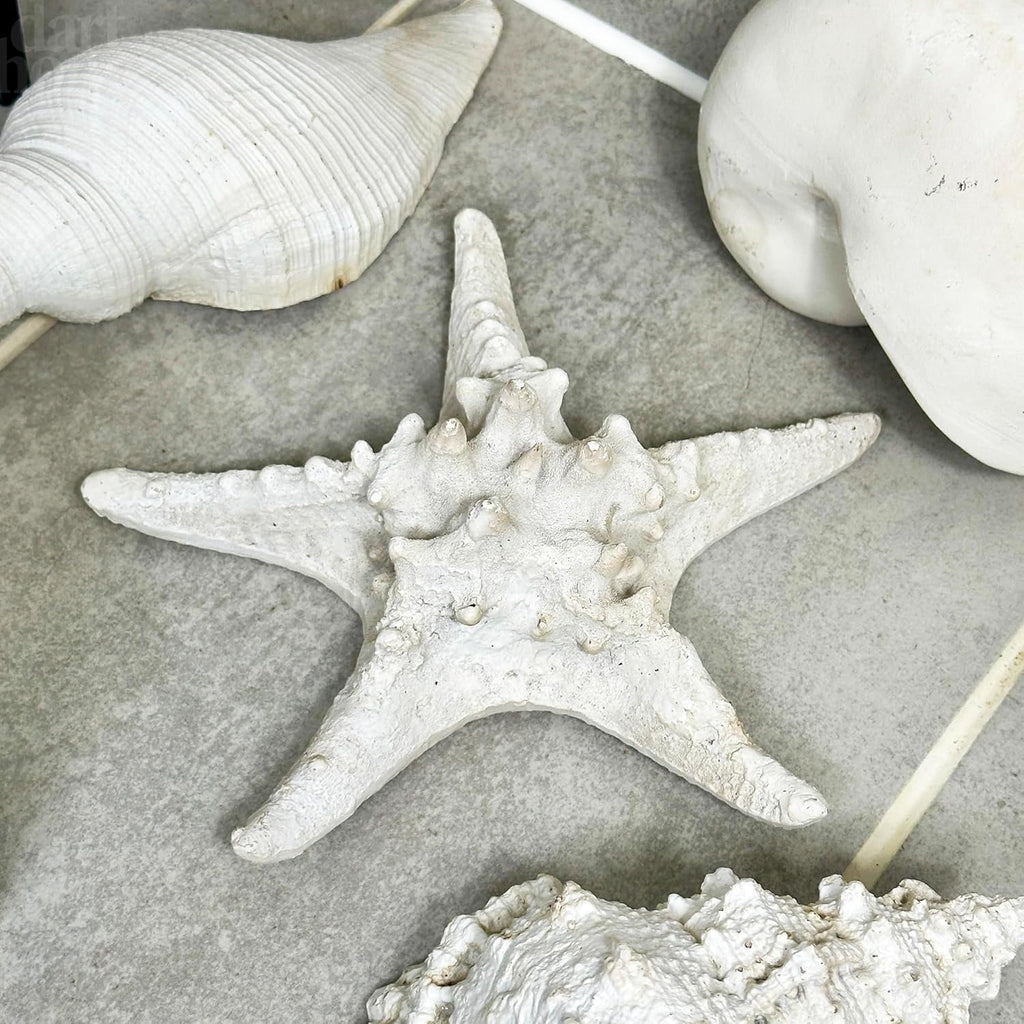 Set Of 4 Natural Shell Ornaments