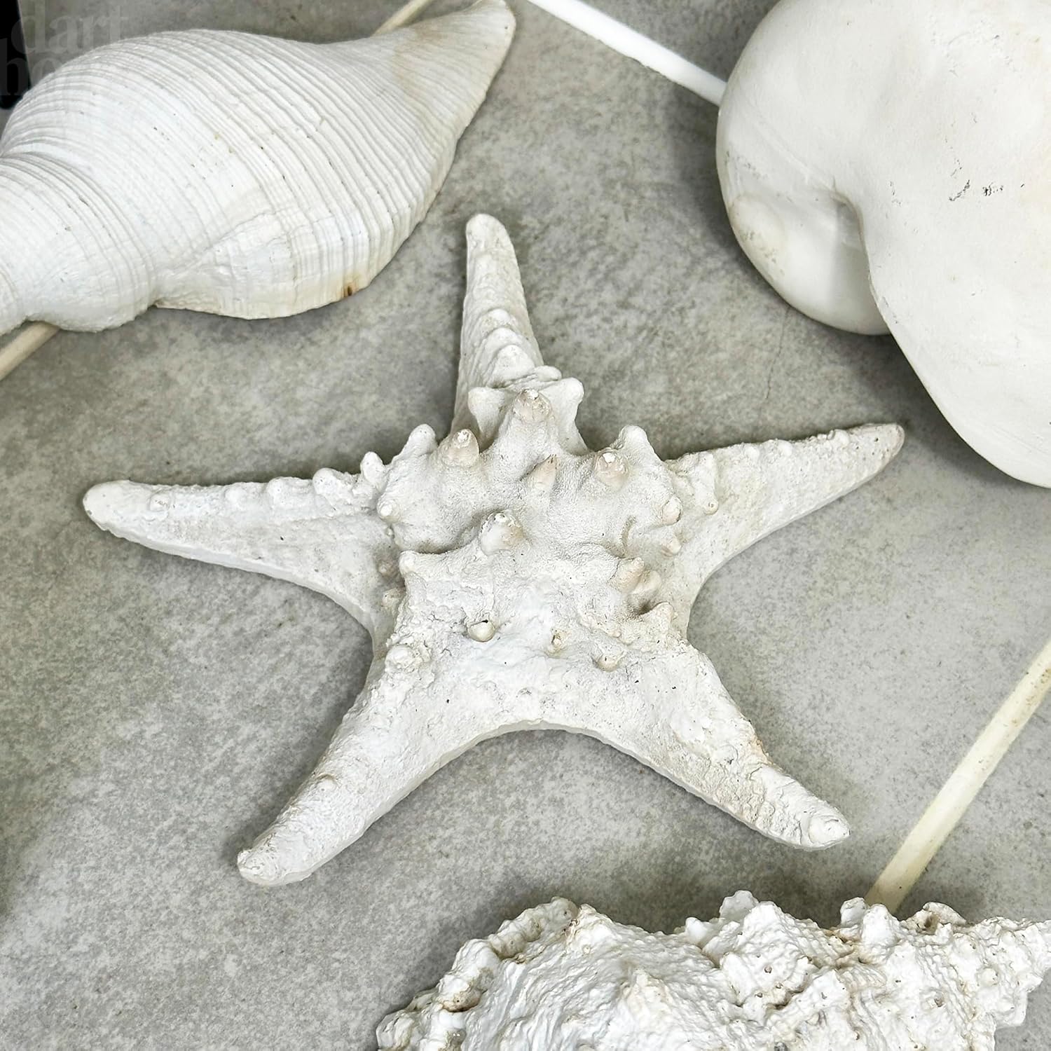 Set Of 4 Natural Shell Ornaments
