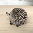Set of 2 Country Miniature Hedgehogs