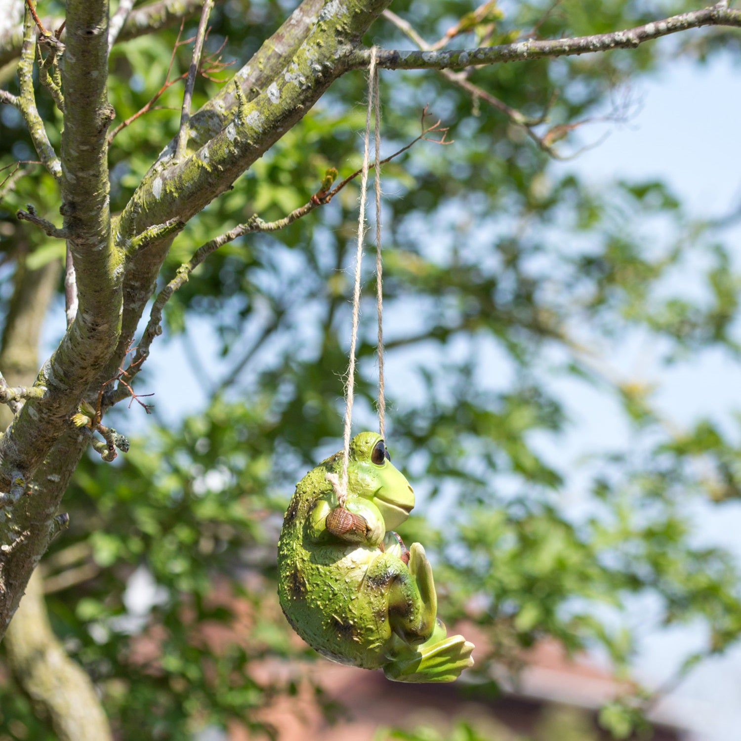 Hanging Frog Ornament