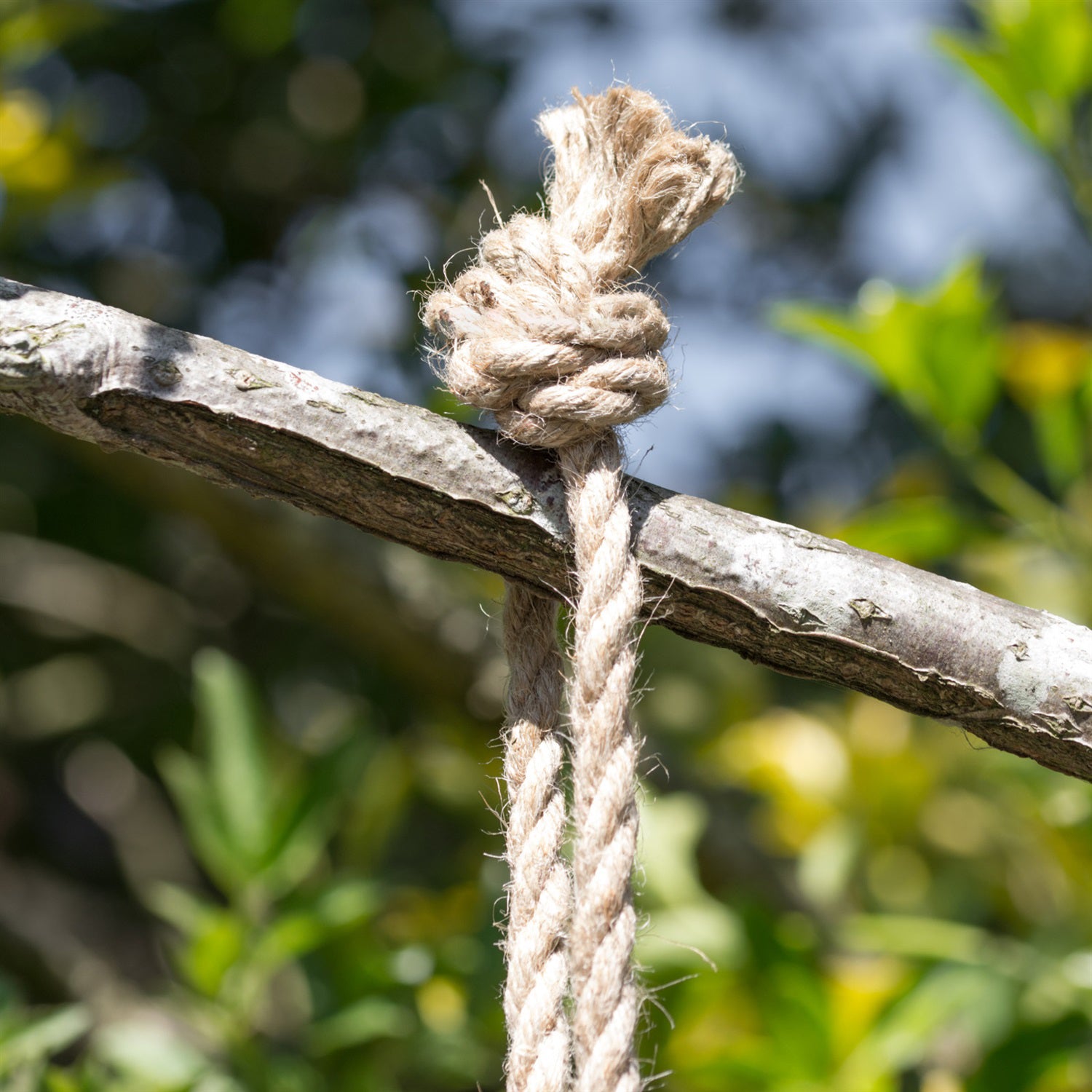Chimpanzee On Tyre Swing Sculpture
