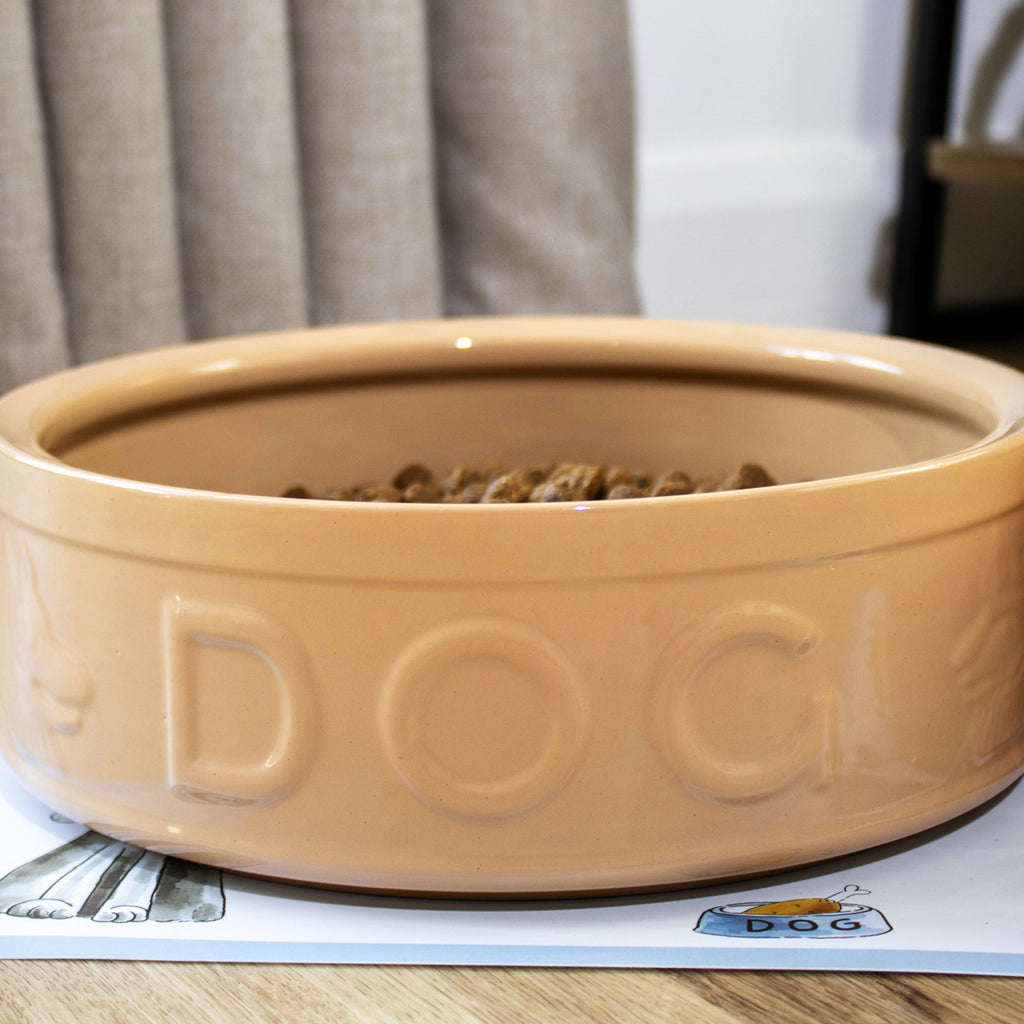 Extra Large Mason Cash Dog Bowl Set