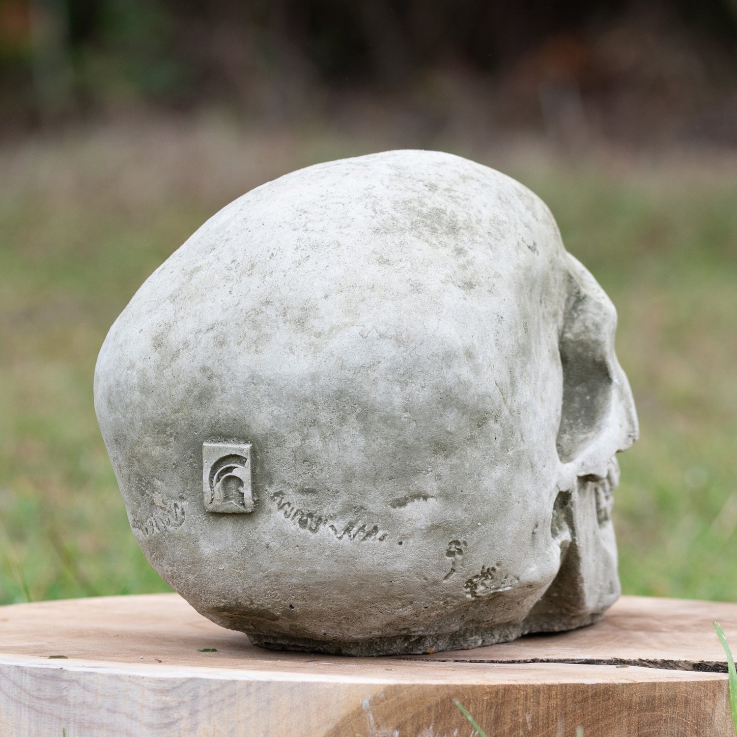 Stone Human Skull Sculpture